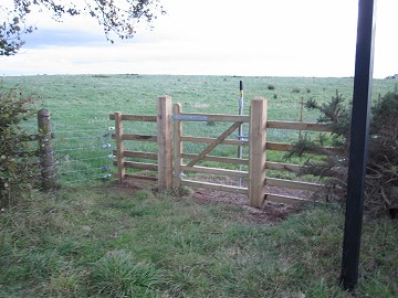 Gate in place
