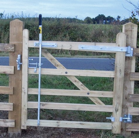 Detail of the actual gate