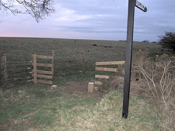 Gate & Posts gone!